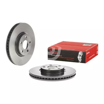 Jeu de 2 disques de frein avant BREMBO OEM 1877785