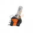 RAP LIGHTING RAP-H15 - Ampoule, projecteur longue portée