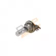 RAP LIGHTING RAP-H15 - Ampoule, projecteur longue portée