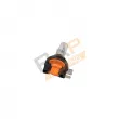 RAP LIGHTING RAP-H15 - Ampoule, projecteur longue portée