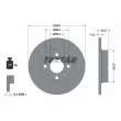 TEXTAR 92061100 - Jeu de 2 disques de frein avant