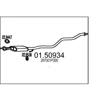 Silencieux central MTS [01.50934]