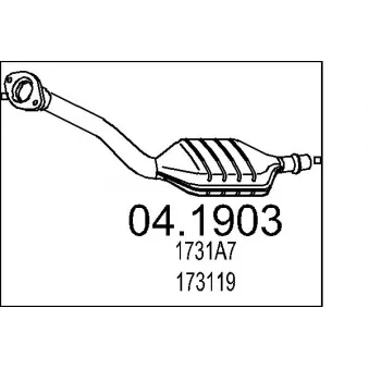 Catalyseur MTS [04.1903]
