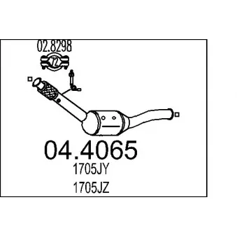 MTS 04.4065 - Catalyseur