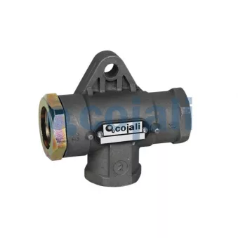 Valve à plusieurs voies COJALI OEM 42052279