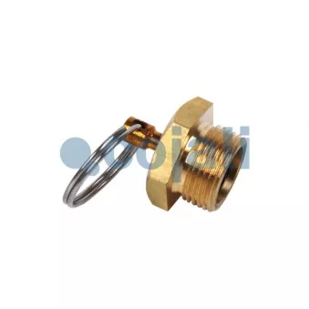 Valve de purge COJALI OEM 2TA607271