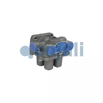 Valve de sécurité pour plusieurs circuits COJALI 2222430