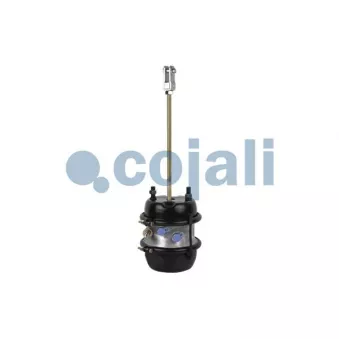 COJALI 2251427 - Cylindre de frein multifonction