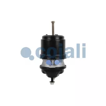 Cylindre de frein à ressort COJALI OEM 81504109809