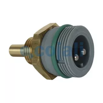 Capteur, température d'huile COJALI OEM 500306957