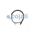 Capteur, température extérieure COJALI [2260935]