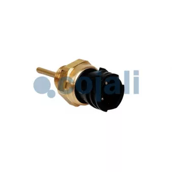 Sonde, température du liquide de refroidissement COJALI OEM 1734465