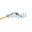 COJALI 2262019 - Capteur, température des gaz