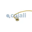 COJALI 2262019 - Capteur, température des gaz