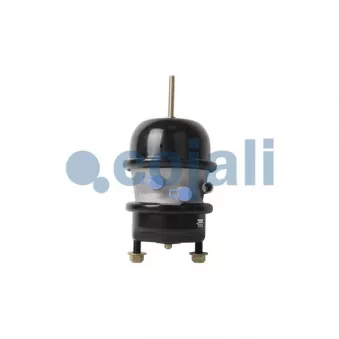 Cylindre de frein multifonction COJALI OEM 4454107630