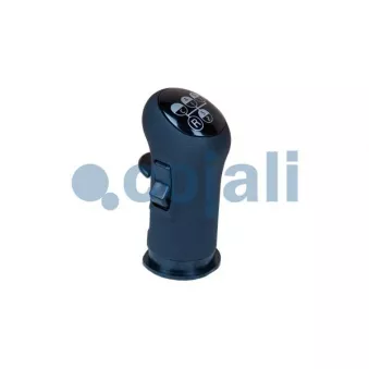 COJALI 2880138 - Pommeau de vitesses