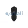 COJALI 2880174 - Pommeau de vitesses