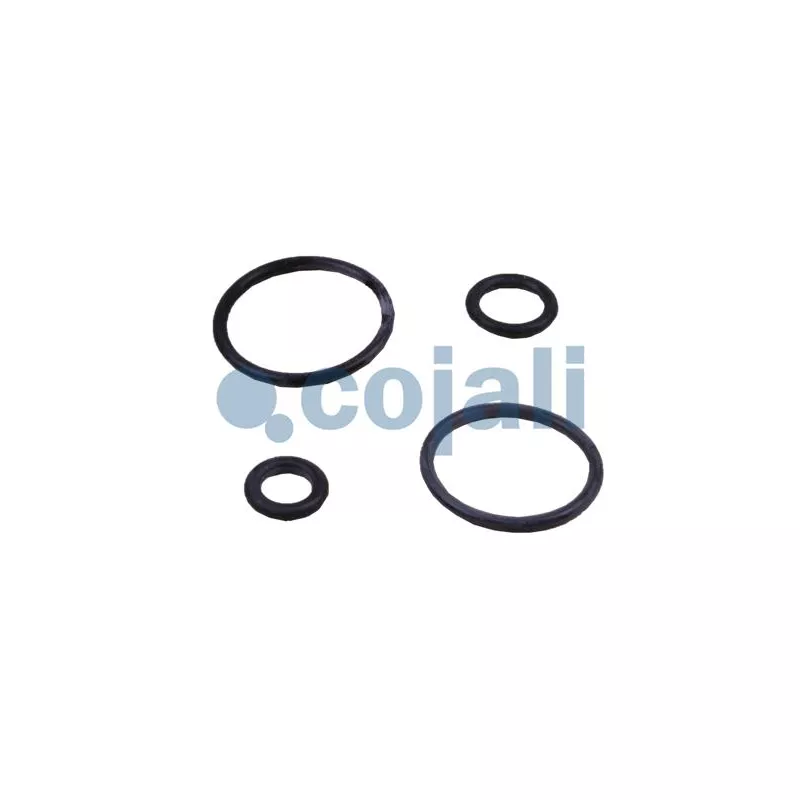Kit de réparation COJALI 6012088 - Visuel 2
