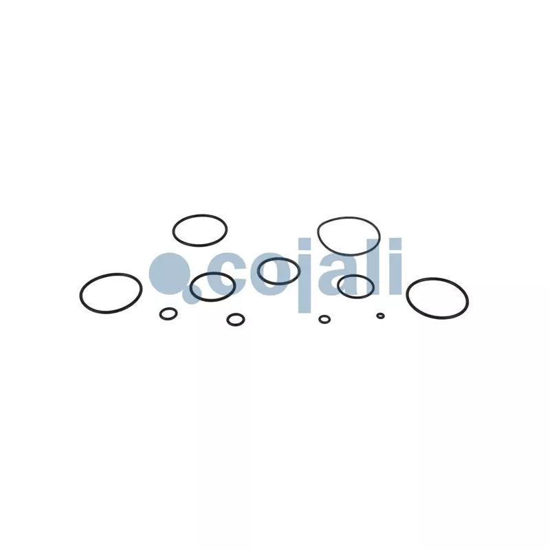 Kit de réparation COJALI 6012244 - Visuel 2