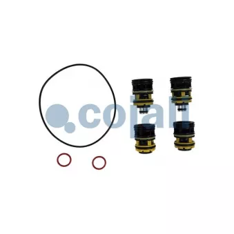 COJALI 6012320 - Kit de réparation
