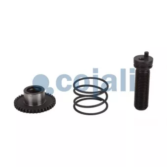 COJALI 6086082 - Kit de réparation, étrier de frein