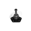 Rotule de suspension DYS [27-16247]