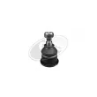 Rotule de suspension DYS [27-21949]