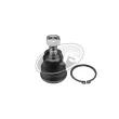 Rotule de suspension DYS [27-27193]