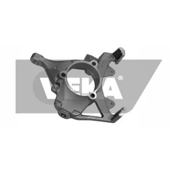 DYS 79-01201L - Fusée d'essieu, suspension de roue avant gauche