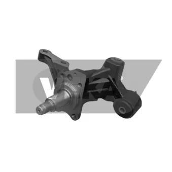 DYS 79-02112L - Fusée d'essieu, suspension de roue arrière gauche