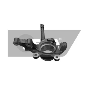 DYS 79-03102R - Fusée d'essieu, suspension de roue avant droit