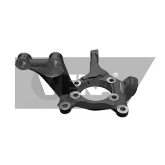 DYS 79-04303R - Fusée d'essieu, suspension de roue avant droit