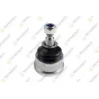 TEKNOROT B-306 - Rotule de suspension