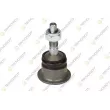 Rotule de suspension TEKNOROT [B-804]