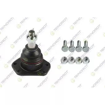 Rotule de suspension TEKNOROT OEM 19133669
