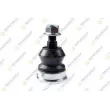 Rotule de suspension TEKNOROT [DO-124]