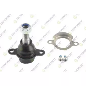 Rotule de suspension TEKNOROT OEM KT6C113K209AA