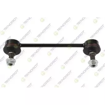 Entretoise/tige, stabilisateur TEKNOROT OEM 555302G500