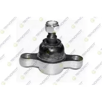 Rotule de suspension TEKNOROT OEM 5176138A00