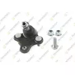 TEKNOROT HY-625K - Rotule de suspension avant gauche