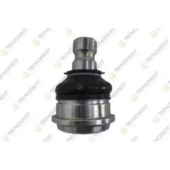 Rotule de suspension TEKNOROT OEM 545032BA00