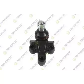Rotule de suspension TEKNOROT OEM 545703E001