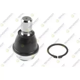 Rotule de suspension TEKNOROT OEM 545004KH4A