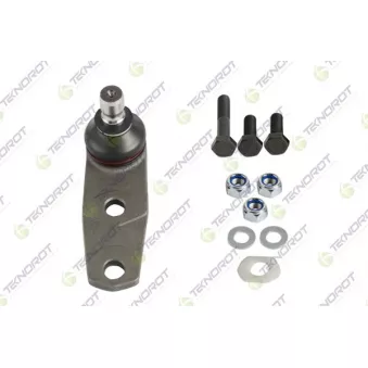 Rotule de suspension TEKNOROT R-204K pour RENAULT CLIO 1.4 - 80cv