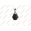 TEKNOROT R-494 - Rotule de suspension avant gauche