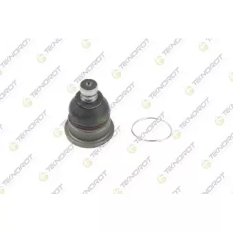 Rotule de suspension TEKNOROT OEM 8200255761S