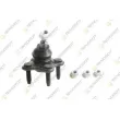 TEKNOROT SK-425K - Rotule de suspension avant gauche