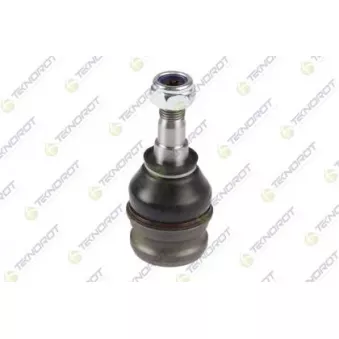 Rotule de suspension TEKNOROT OEM 21067GA050