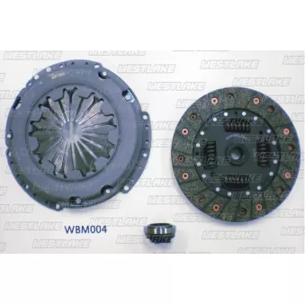 Kit d'embrayage WESTLAKE OEM 21207542691