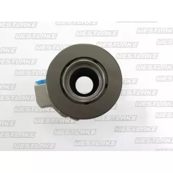 Butée hydraulique, embrayage WESTLAKE OEM 93317724